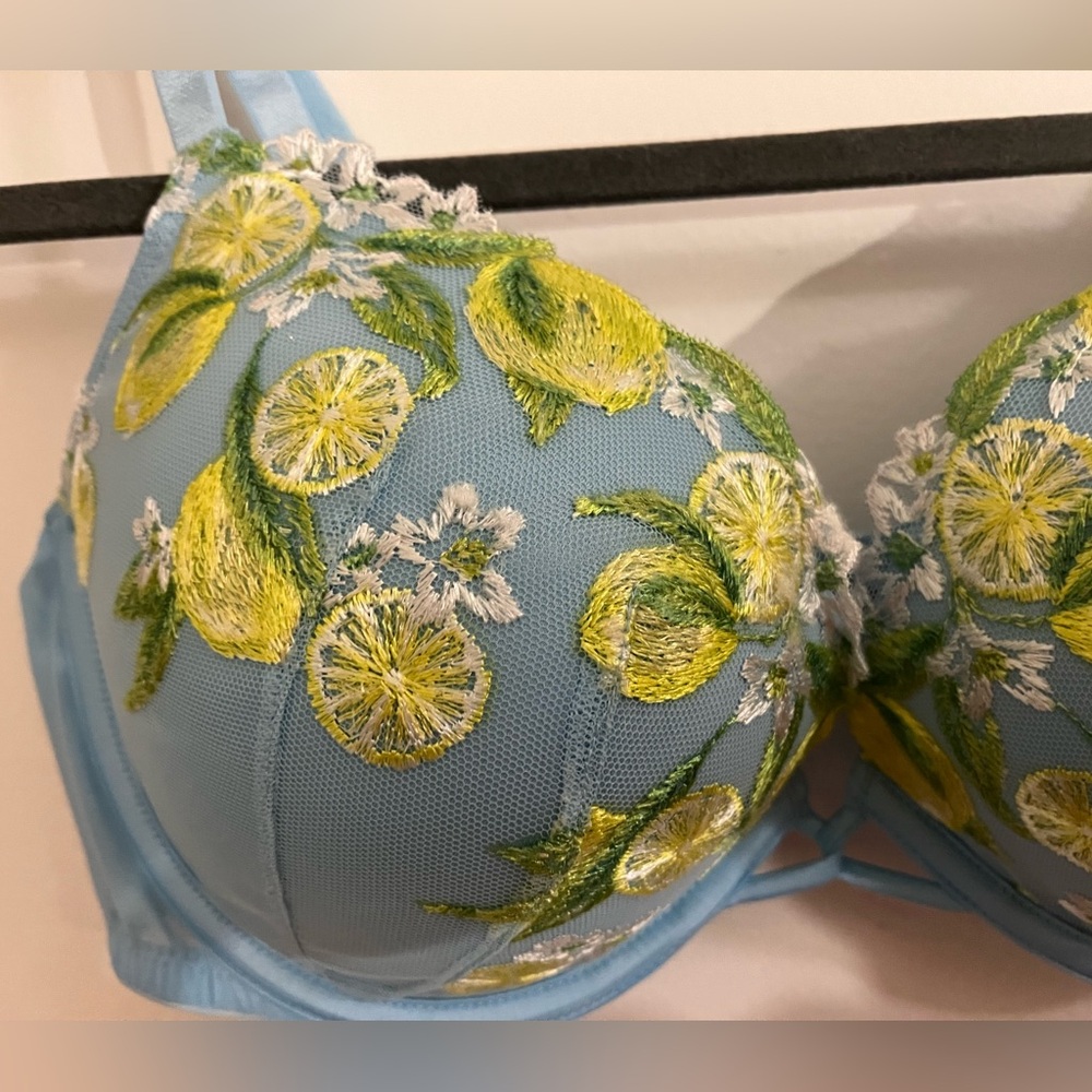 Victorias Secret Dream Angels Embroidered Push up Bra - Picture 3 of 6
